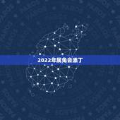 2022年属兔会添丁，2022年添丁生肖