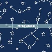 2022年运势属羊，2022年12生肖运势解析