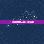 1988年属龙人2022年运势，1988年属龙人运势如何