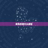 属兔的跟什么最配，属兔贵人在哪
