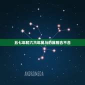 五七年和六六年属马的属相合不合，属马人和什么属相不合