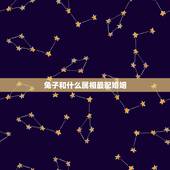 兔子和什么属相最配婚姻，生肖兔与什么生肖最配对？什么生肖最旺兔？