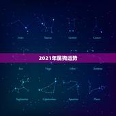 2021年属狗运势，2021狗年运程1982年运势