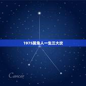 1975属兔人一生三大坎，75年属兔男婚姻灾难
