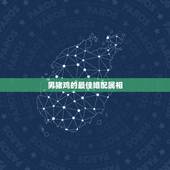 男猪鸡的最佳婚配属相，男属鸡与属什么相配