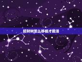 招财树怎么移植才能活，发财树怎么移栽