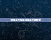 85年属牛女和85年属牛男婚姻 1985属牛女的一生婚姻