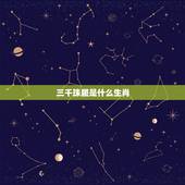 三千珠履是什么生肖，三千珠履。猜一生肖
