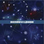 属蛇的婚姻与什么属相相配，属蛇和属羊相配吗？