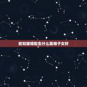 蛇和猪婚配生什么属相子女好，蛇和什么属相最配蛇与猪匹配吗？