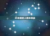 65年属蛇人晚年命运，65年属蛇人11月运势