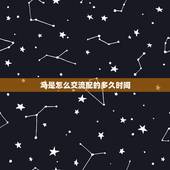 马是怎么交流配的多久时间，马和人能配对成功吗