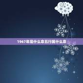 1967年是什么命五行属什么命，20220年五行属什么