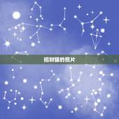 招财猫的照片，请问现在哪还有免费的图片外链接相册？