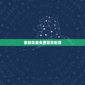 紫微命盘免费算命配偶，求解紫薇命盘 重点在财运和夫妻运