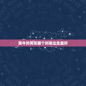属牛的男孩哪个时辰出生最好 生肖牛男孩几月份出生最好