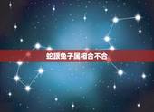 蛇跟兔子属相合不合，男属兔女属蛇婚姻状况