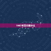 1987年五行属什么，1987年出生五行是什么