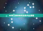 68年土猴的桃花运是什么属相，我是68年属猴的，请问家里放些啥能镇住