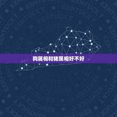 狗属相和猪属相好不好，狗跟猪属相是不是不合