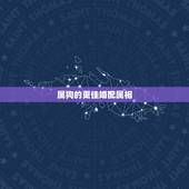 属狗的更佳婚配属相，属兔人更佳婚配属相