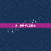 属牛跟属什么的最配，那个属相看不起属牛人