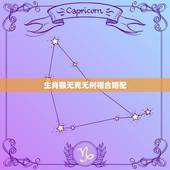 生肖猴无克无刑相合婚配，属相婚配十二生肖年龄表
