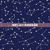 属蛇人2021年运势及运程，属蛇2021年运势及运程每月运程