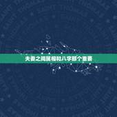 夫妻之间属相和八字那个重要，属相重要还是生辰八字重要