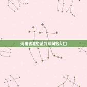 河南省准生证打印网站入口，手机民政产前登记如何打印出来