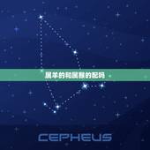 属羊的和属猴的配吗，属羊的和属猴的在一起合适吗
