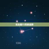 处女座11月的运势，处女座11月11日的运势如何？