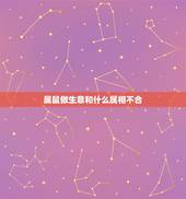 属鼠做生意和什么属相不合，属鼠不易合作属相