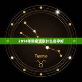 2014年男宝宝取什么名字好，2014年正月出生属马的男孩子起什么名字