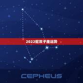 2022蛇双子座运势，1977年5月25日属蛇双子座2023年运势男？