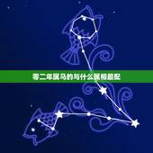 零二年属马的与什么属相最配，属马的和什么属相最配