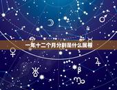 一年十二个月分别是什么属相，为什么一年有12个月，为什么一共有12个生