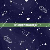 1995属猪的命运与婚姻，农历1995年11月19日属猪人的婚姻与命运