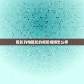 属蛇的和属蛇的相配婚姻怎么样，属蛇和属蛇的合不合