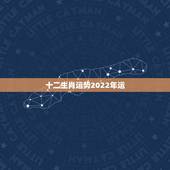 十二生肖运势2022年运，十二生肖运势2022年运程
