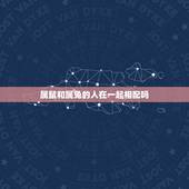 属鼠和属兔的人在一起相配吗，1996鼠与1999兔的婚姻