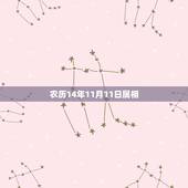 农历14年11月11日属相，2014年属马阴历11月11日亥时出生五行