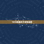 1978年属马下半年运势，1978年属马的人什么时候才有好运气