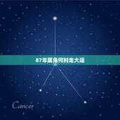 87年属兔何时走大运，87年兔人那一年转好运