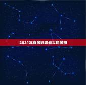 2021年寡宿影响最大的属相，2021年什么属相犯太岁或者冲太岁