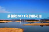 属相蛇2021年的桃花运，2021年桃花运最旺生肖排名