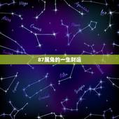 87属兔的一生财运，87年属兔属兔的是什么命