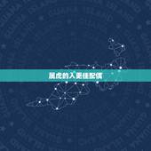 属虎的人更佳配偶，1999属虎更佳配偶属相