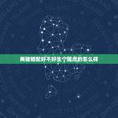 两猪婚配好不好生个属虎的怎么样，男属虎女属猪生个属啥好
