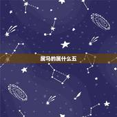 属马的属什么五，属马的养什么花旺财